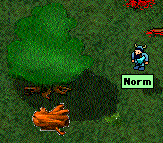 Screen Shot