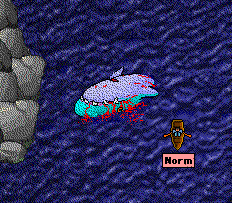 Screen Shot