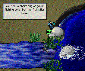 Screen Shot