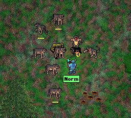 Screen Shot