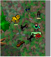 Screen Shot