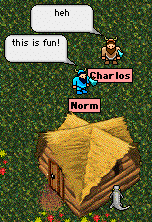 Screen shot